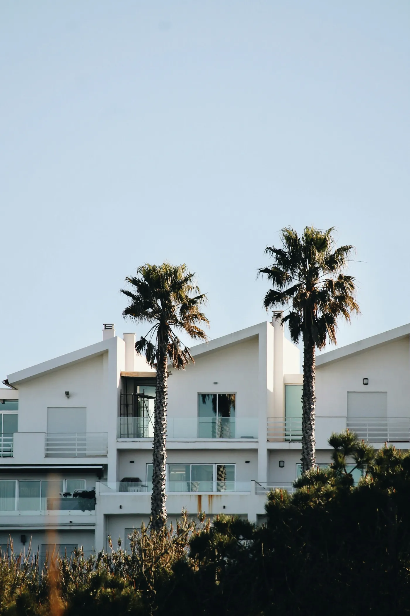 Contemporary architecture and green spaces